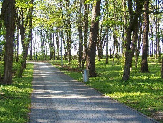 Wypożyczalnia rowerów
